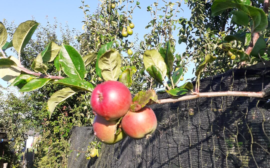 Growing season in full swing 2021